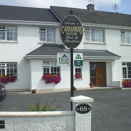 Carranross Accommodation Killarney Bagian luar foto